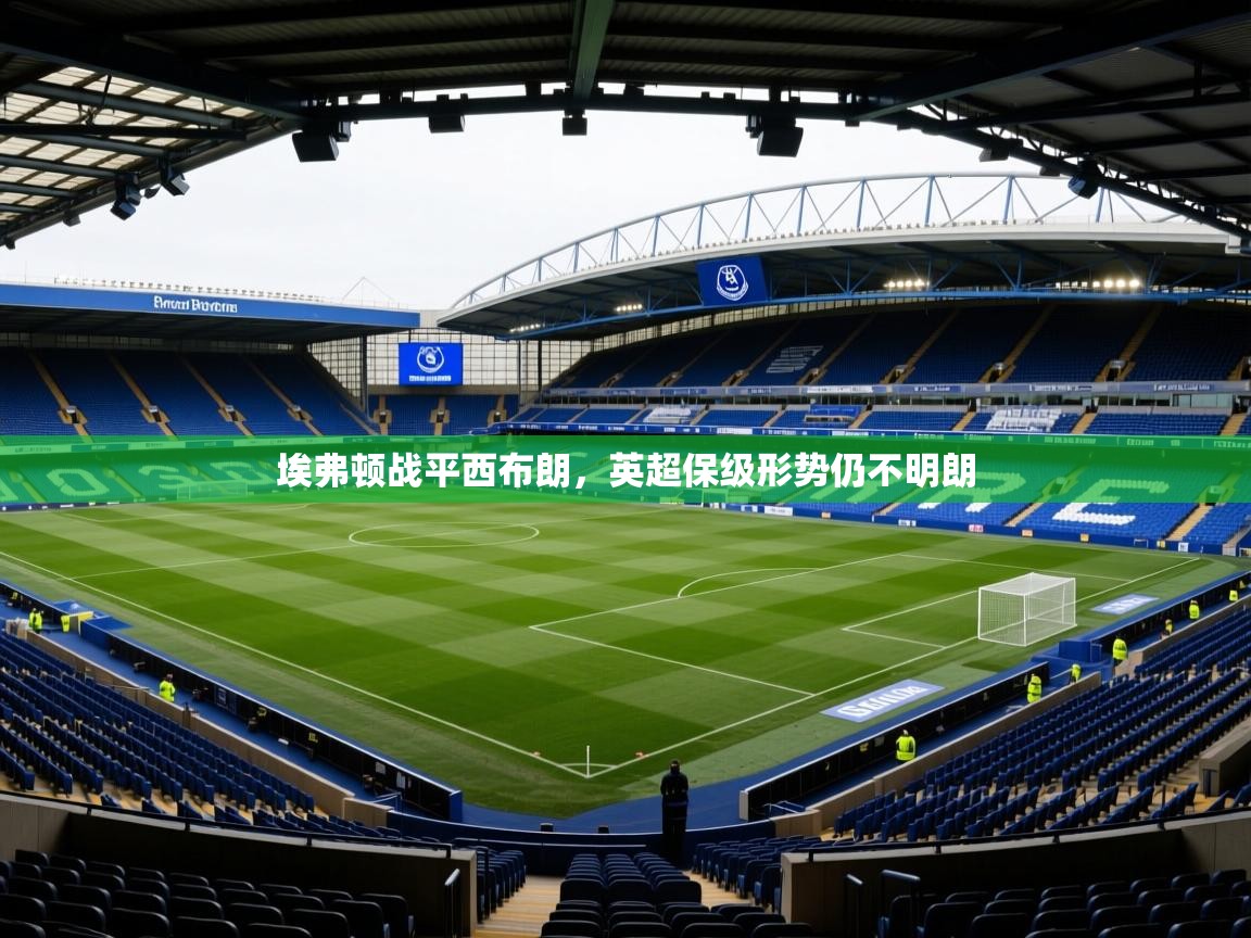 埃弗顿战平西布朗，英超保级形势仍不明朗  第2张