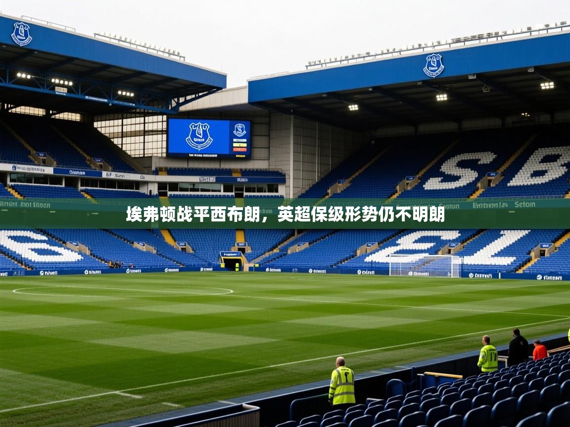 埃弗顿战平西布朗，英超保级形势仍不明朗  第4张