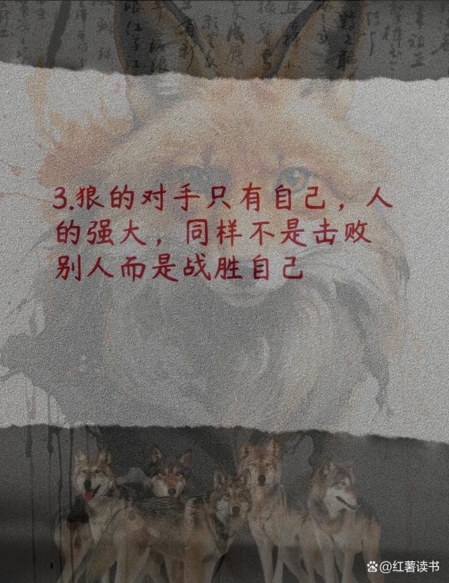 战胜自己战胜对手，实力和勇气并存